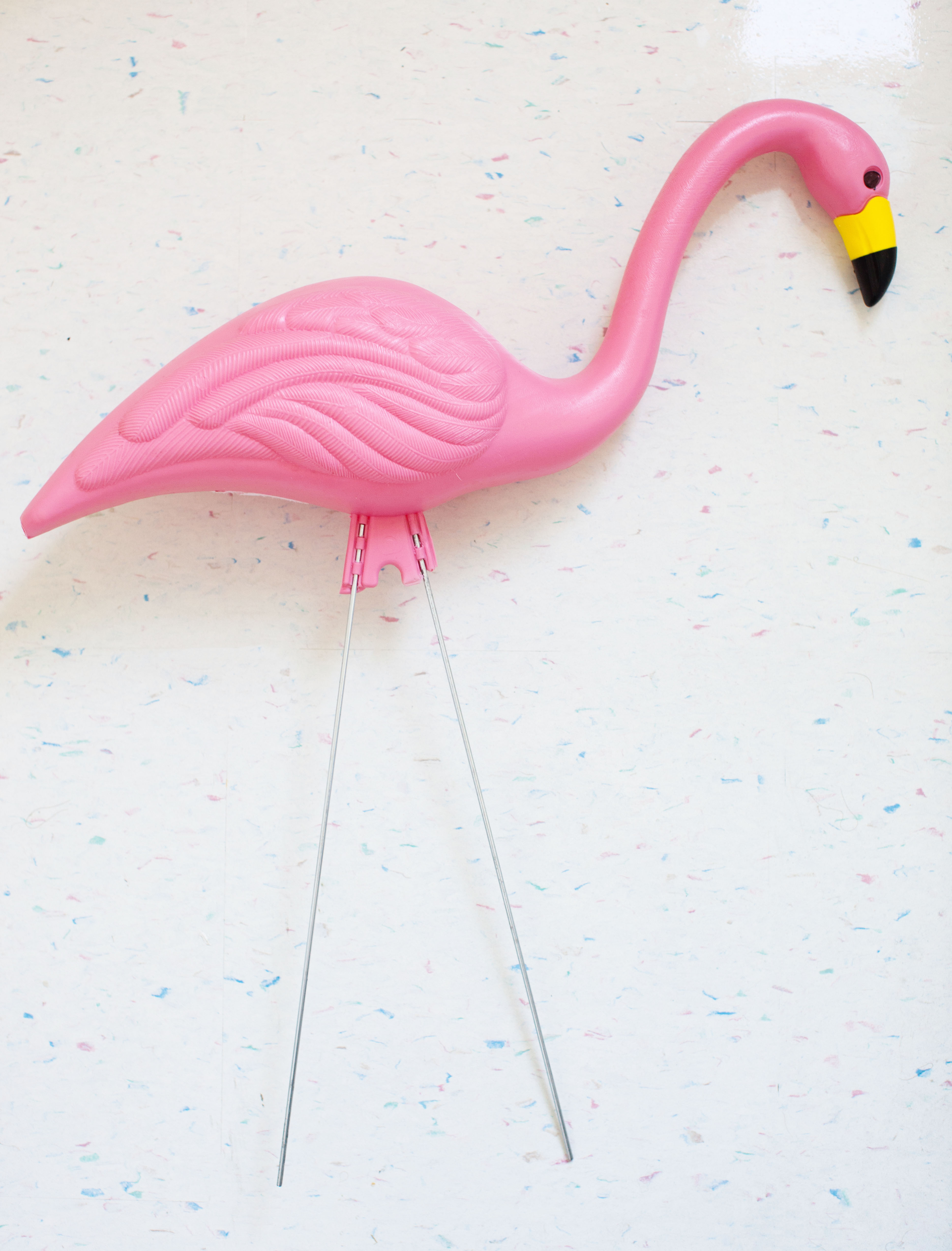 DIY Plastic Flamingo Skeleton