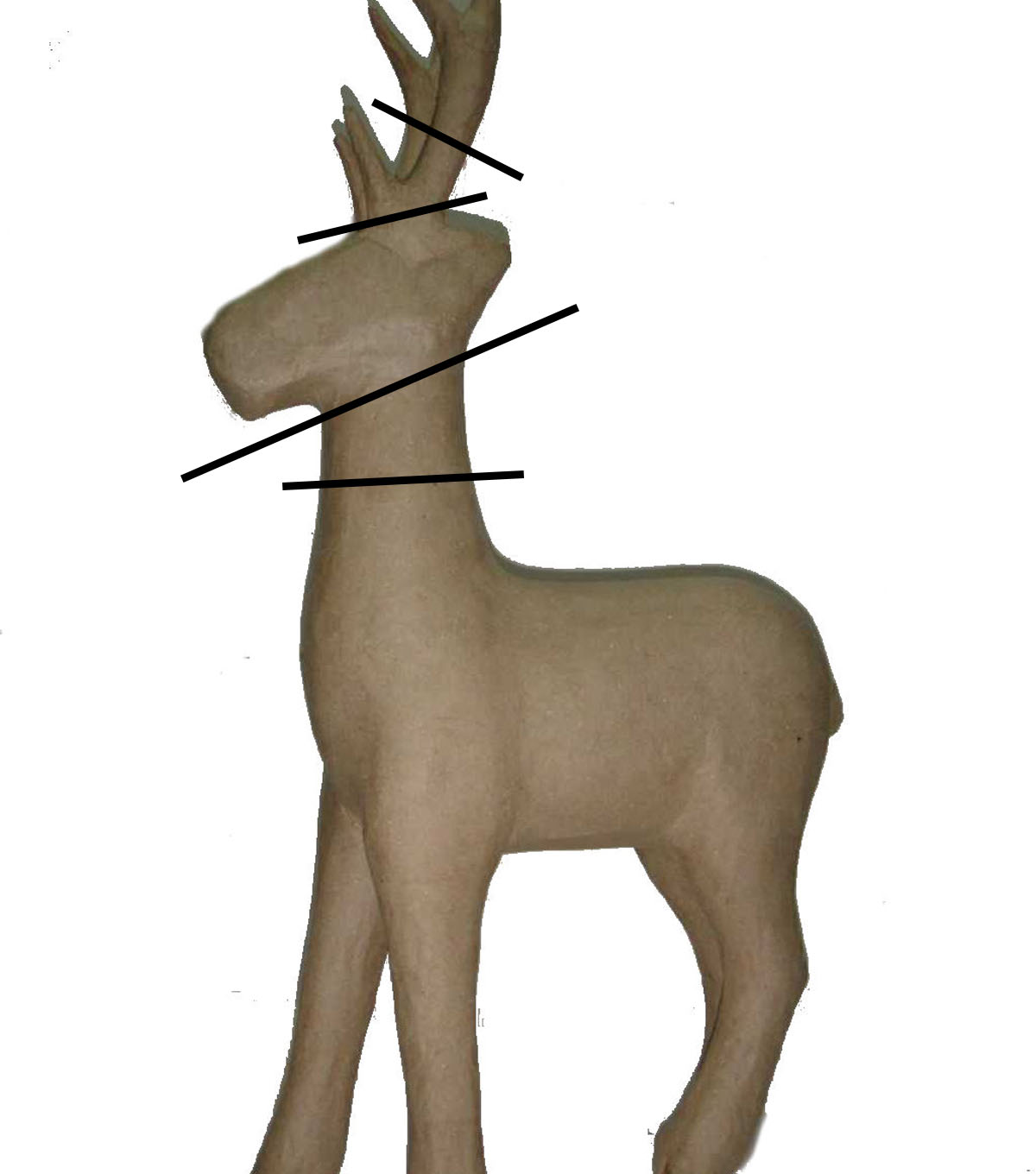 Space Deer Cut Diagram.jpg